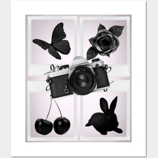 Animals, flowers, fruits and black objects Posters and Art